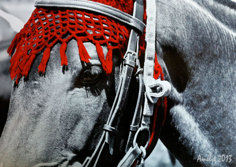 Painting meets Photography